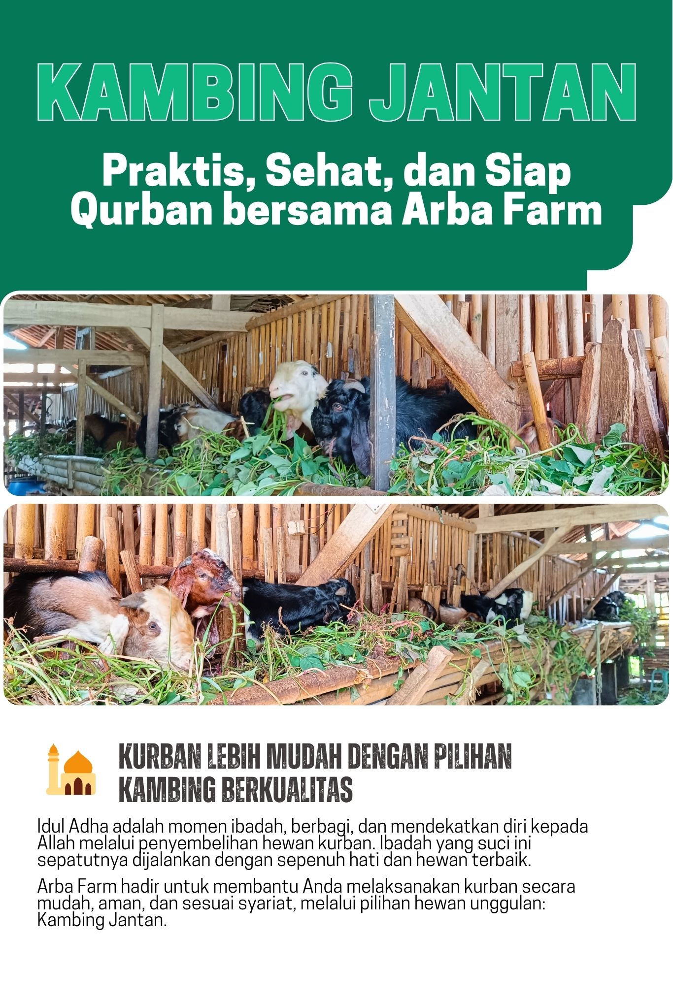 Kambing Arba Farm Page (1)